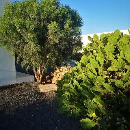 Montana Colorada 펜션 *